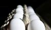 Shell shocked: Producers to give 53m eggs to food banks in US settlement