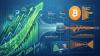 Bitcoin Stalls as Global Markets Hit New Records, Glassnode Reveals Why