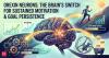 Researchers in Japan uncover what helps the brain stay motivated when life gets harder