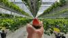 Gyeongnam Launches Five Farm Reforms to Cut Costs, Raise Incomes
