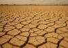 El Niño May Increase Dengue, Malaria and Waterborne Diseases, PAHO Says