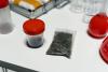 Lighting Up: Testing positive for marijuana seems to matter less to employers 