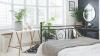 5 heat-loving houseplants that thrive in bright, sunny windowills and stuffy rooms – they’re perfect for south-facing windowsills