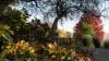 Will Kansas see an early fall this year? Experts weigh in