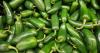 Fresh jalapeños recalled due to salmonella outbreak in 27 states, including Texas