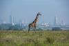 Kenya’s new mandatory A$70K travel insurance slammed for deterring tourists