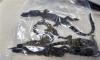 5 indicted in wildlife smuggling ring bust