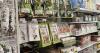 Japan’s Food Exports Hit Record High as Green Tea and Yellowtail Lead Growth