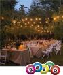 Best of – Weddings