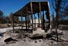 As Wildfires Destroy and Displace, APCIA Says Congress Must Pass Fix Our Forests Act
