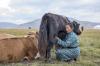 The Year of Pastoralists Must Be More Than Symbolic