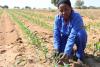 Market Access Remains a Challenge for Namibian Farmers