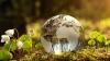 Why India Must Accelerate the Transition to Decarbonise Power Infra