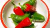 Mexican jalapenos tied to Salmonella outbreak