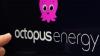 Octopus Energy makes major announcement regarding 15 million meters