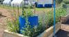 Bristol Airport grants £12,000 to biodiversity education project