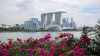 Asia hubs lead wealth management ranking
