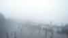 Indian travellers embrace monsoon 'micro-cations', searches up 40%: Report