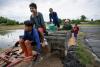 World AFP 'Don't have to hide': Thai IDs, legal work give hope to Myanmar refugees