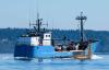Market Advisory Council lists challenges in EU CATCH rollout