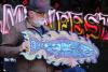 Salmonfest celebrates 15 years of fish, love and music