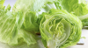 More than 6,000 patients identified in Cyclospora outbreak linked to Taylor Farms lettuce