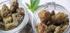 Michigan Cannabis Retailer to Surrender License Following Bulk Transactions Directly from Vault