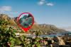 Cape Town leads the way in property inflation
