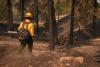 Firefighters Get a Handle on Spokane (WA) Wildfires as Tens of Thousands Remain Evacuated