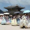 Heatwave impacts people, animals in Japan and Korean Peninsula