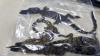 5 Charged in Wildlife Smuggling Case