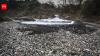 People can walk across this river in Indonesia without touching the water; the reality is alarming