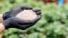 More Canadian federal investment in Québec aimed at realising Bégin-Lamarche phosphate mine