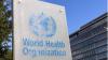 Ebola outbreak spreading faster than containment efforts, says WHO chief