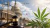 Maryland Joins 34 States Opposing Efforts To Roll Back Hemp Restrictions