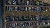 Stranded boats, idle fishermen as Danube hits record lows