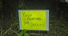 Patrick Connolly: Skunk Ape Night Run: An 18-mile trail race through the heart of Florida's Green Swamp