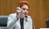 Pauline Hanson reveals who she will let migrate to Australia if she becomes Prime Minister: 'We don't need any more Uber drivers'