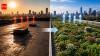 Scientists reveal how green roofs cut rooftop temperatures by 40°F