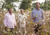 Blockchain to lift India’s premium cotton brand