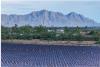 Ørsted turns on 500 MWh battery project with co-located solar in Texas