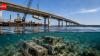 Why 20,000 tons of a demolished Virginia bridge became an artificial reef beneath Chesapeake Bay instead of ending up in a landfill