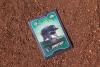 Seattle Mariners fan lists Jimothy the raccoon rookie card for $10k after win over Tigers