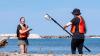 Researchers compare E. coli levels at Milwaukee beach sites