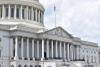 The End Birthright Citizenship Bill: Problem or Solution?
