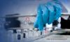 Senores Pharmaceuticals: Commercialisation Momentum Strengthens Outlook