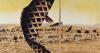 'Reclaiming the Future: The Legacy of Japanese American Incarceration'