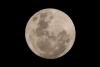 SpaceX rocket crashes into the moon, scientists confirm