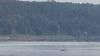 River explosions and power plant shutdowns herald extreme drought measures for UK