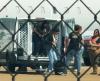 ‘The Bird-Watchers’ of Memphis: tracking ICE flights and documenting detainees In shackles